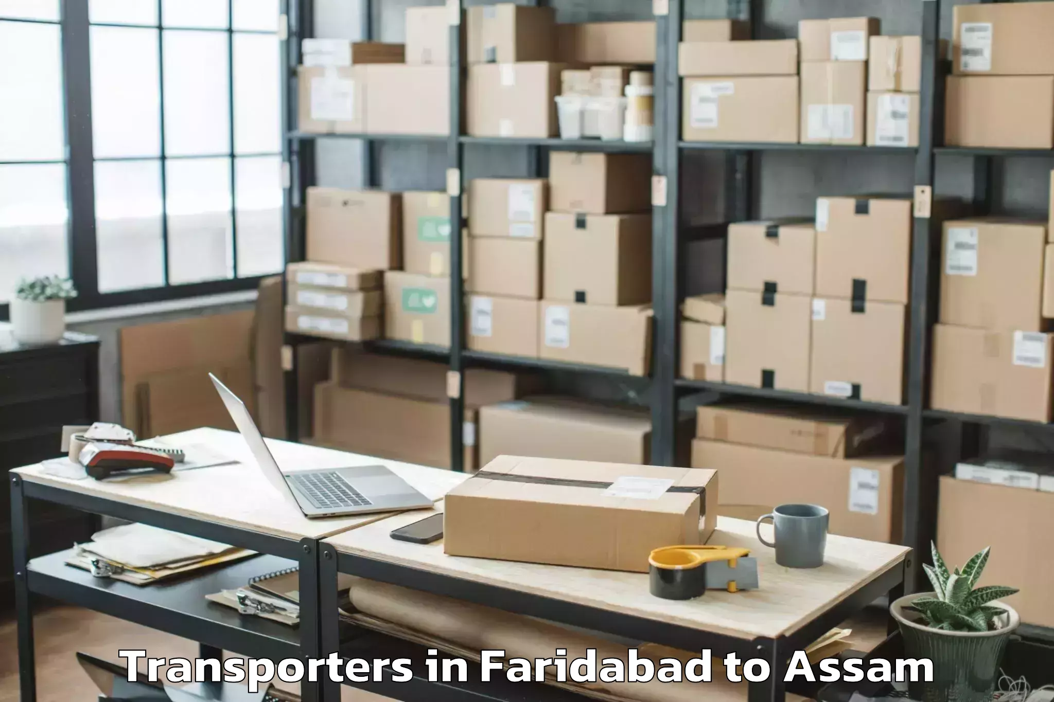 Discover Faridabad to Barpathar Transporters